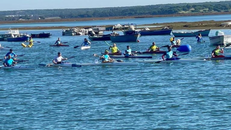 El Club Los Delfines cierra mañana por labores de desinfección y desinsectación
